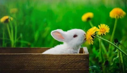 全网独家！九三阅兵全图鉴